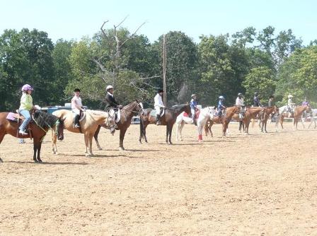 Picture of Horse Show