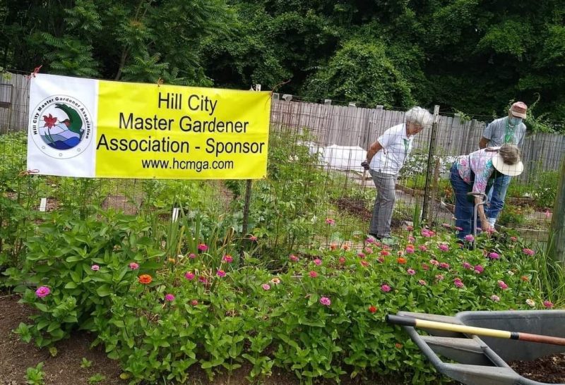 Hill City Master Gardeners