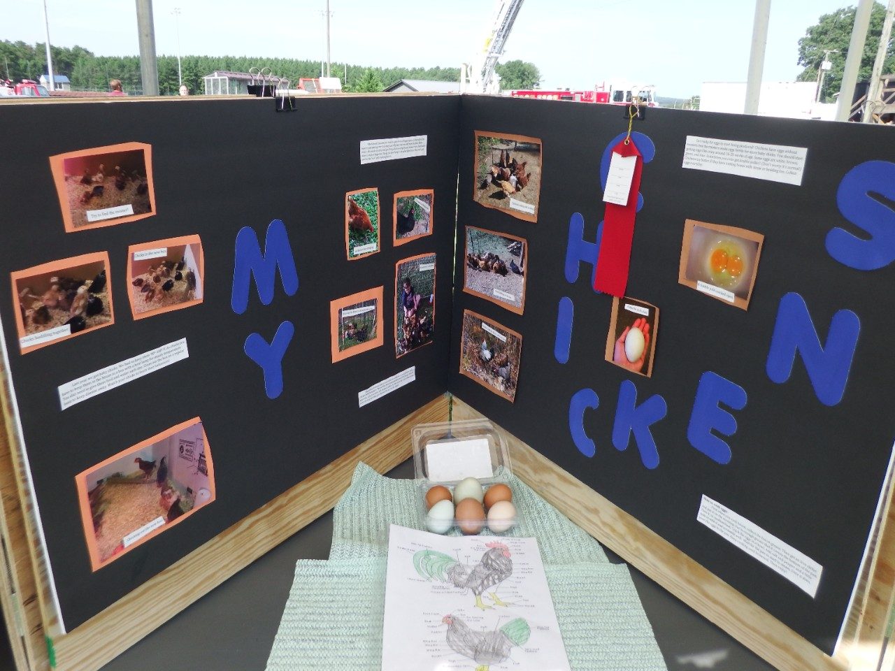 Mini Booth Contest
